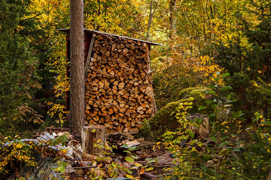 Behind the woodshed